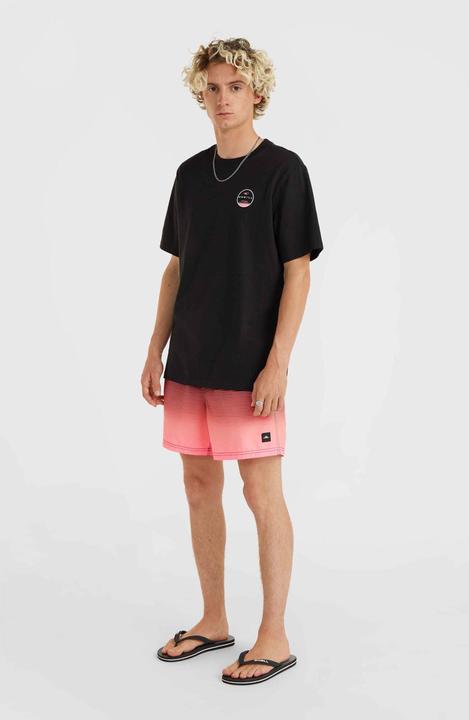 Produktbild O'Neill Jack Cali Gradient 15" Swim Shorts (S)