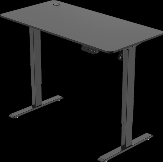 Actual product image LogiLink Sit-stand desk (120 x 60 x 114 cm)