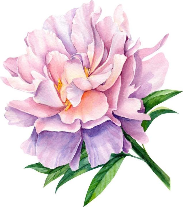 Image du produit Trenddeko Pivoine XXL (108 x 120 cm)