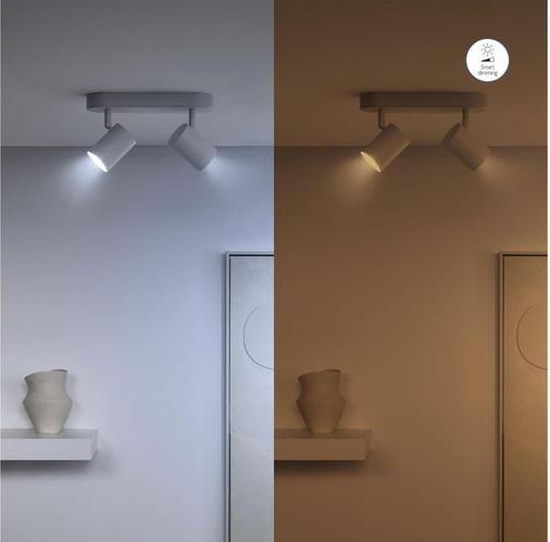 Image du produit WiZ Spot (GU10, 4.70 W, 345 lm, 2 x, F)