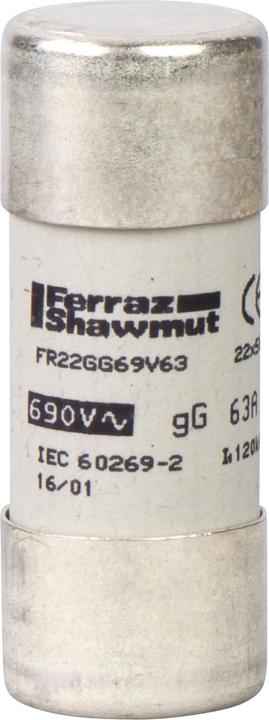 Actual product image Schneider Electric Fuse DF2-FN, gG size 22x58mm, DF2FN100 (100 A)