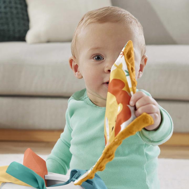 Image du produit Fisher-Price Tissue Fun Activity Cube (Allemand)