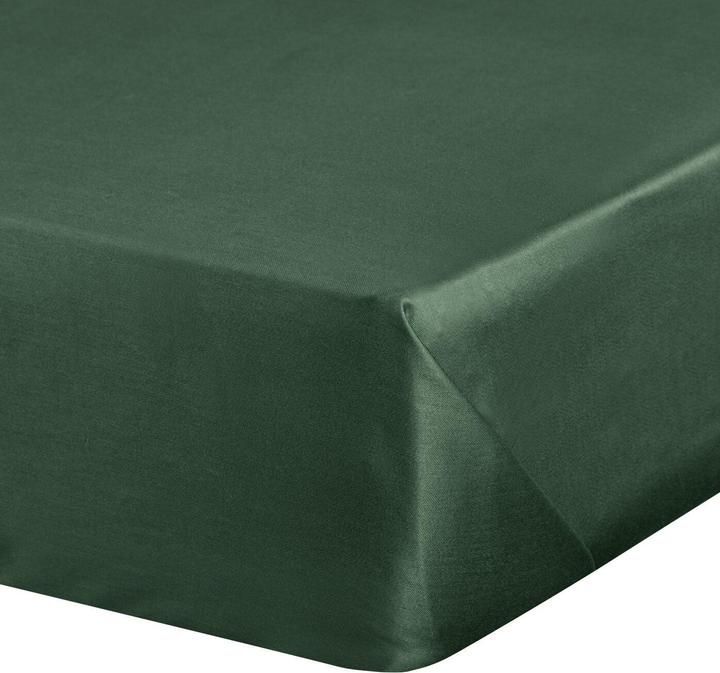Actual product image Eurofirany By (180 x 210 cm)
