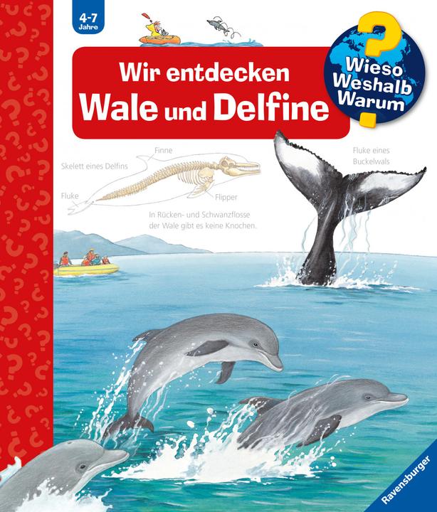 Produktbild Ravensburger Wir entdecken Wale und Delfine (Deutsch, Doris Rübel, 2011)