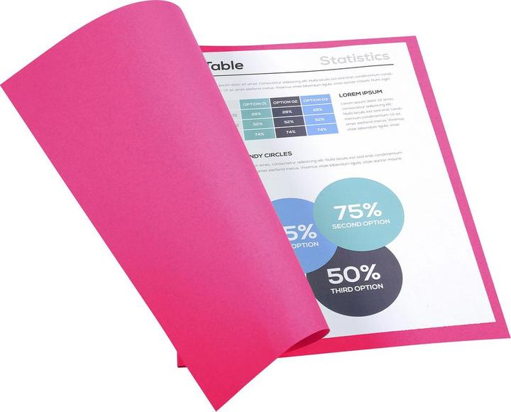 Produktbild Exacompta Sammelmappen - Aktendeckel (24 x 32 cm, 100 x)