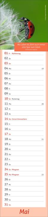 Produktbild times&moreTagevollerGlückLangplaner2026 (11 x 49 cm, Deutsch)