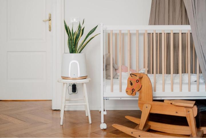 Image du produit Vitesy Natede Basic Natürlicher Luftreiniger (20 m²)