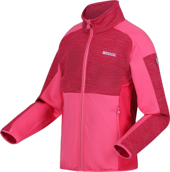 Produktbild Regatta Highton III Fleecejacke (164)