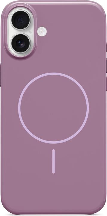 Sunset Purple