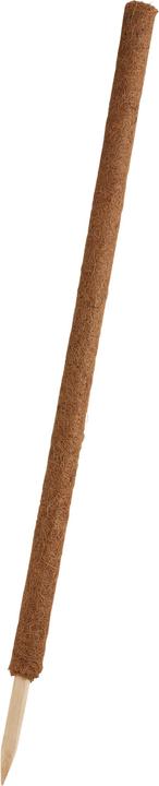 Actual product image Windhager Plant stick coconut (110 cm, 4.50 cm)