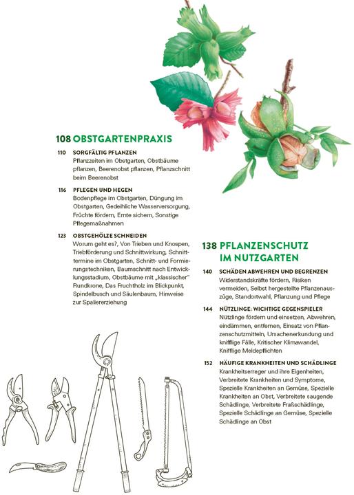 Produktbild Das grosse Gemüse- und Obstgartenbuch (Deutsch, Joachim Mayer, 2025)