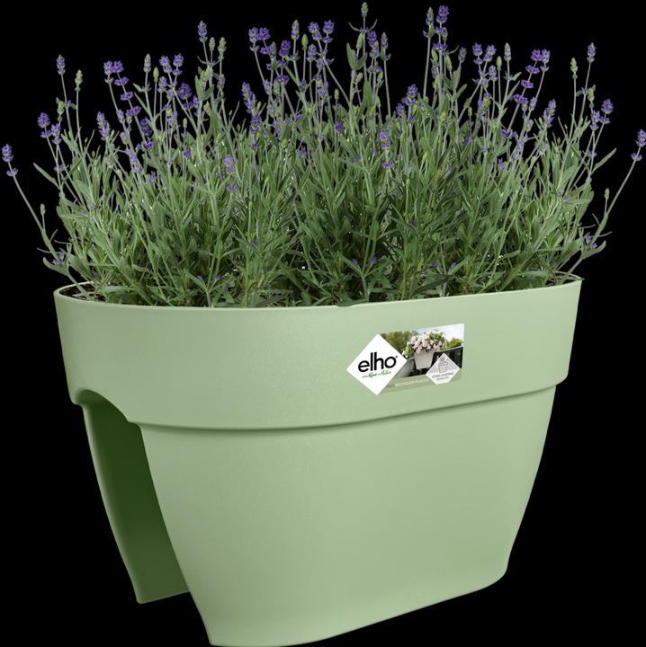 Produktbild Elho Vibia Campana Flower Bridge (26 cm)