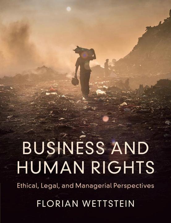 Image du produit Business and Human Rights (Anglais, Florian Wettstein, 2022)