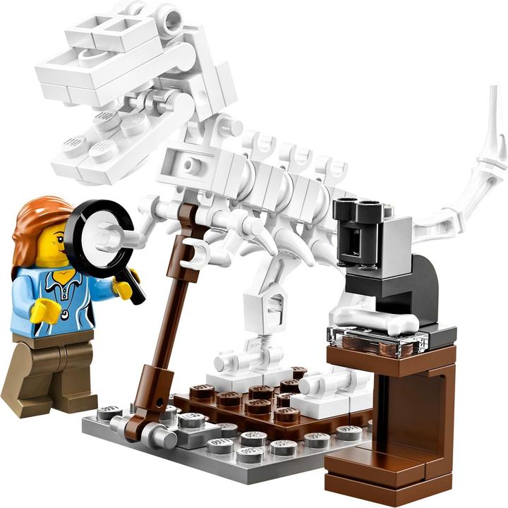 Actual product image LEGO Ideas Research Institute (21110, LEGO Ideas)