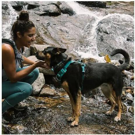 Produktbild Ruffwear Hundegeschirr Front Range Harness (M, Hund)