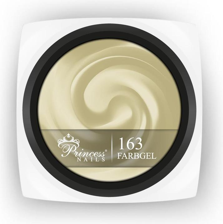Image du produit PrincessNails Farbgel 163
