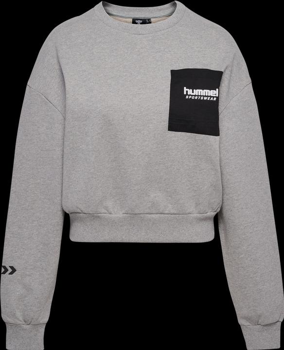 Actual product image hummel Hmllgc Dacia Sweatshirt (M)