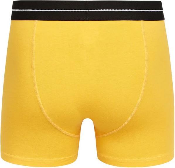 Actual product image Crosshatch Mens Hexter Boxer Shorts (Pack of 2) (M, pack of 2)