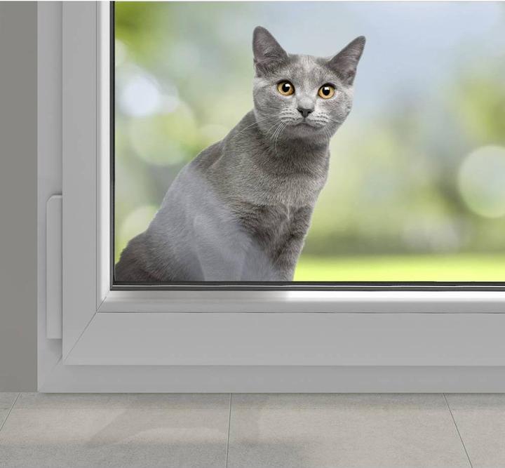 Immagine prodotto Heidemann Set di suonerie radio HX Pet (campanello per animali domestici) (Radio 433 MHz)