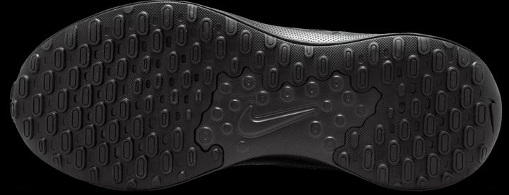 Actual product image Nike Revolution 7 (42.5)