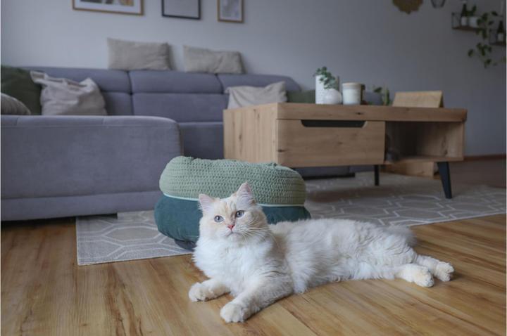 Produktbild Kerbl Kuschelbett Anne für Katzen (Katze)