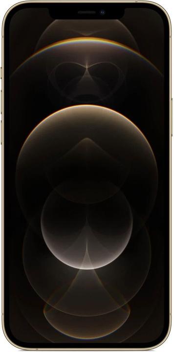 Actual product image Re!commerce iPhone 12 Pro Max (256 GB, Gold, 6.70", 12 Mpx, Single SIM, B / Very good)