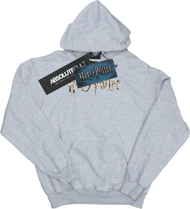 Actual product image Womens/Ladies Full Colour Logo Hoodie (XL)