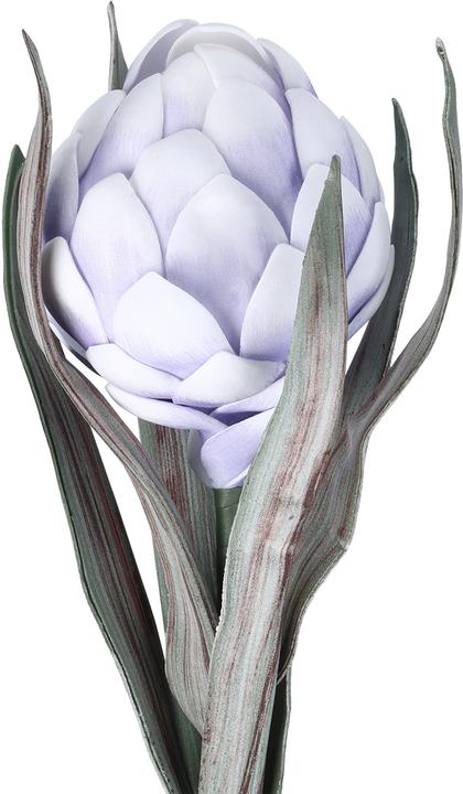 Actual product image EGLO LIVING Molave (15 cm)