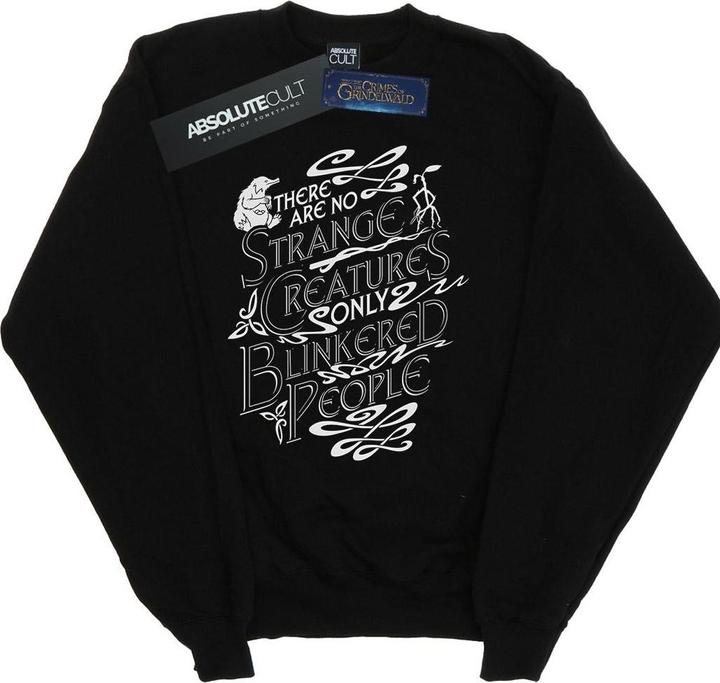 Image du produit Fantastic Beasts - Sweat STRANGE CREATURES - Homme (XL)