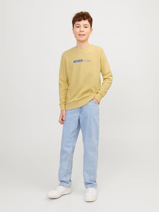 Produktbild Jack & Jones Gedruckt Sweatshirt mit Rundhals Für jungs Sweatshirt mit Rundhals (164)