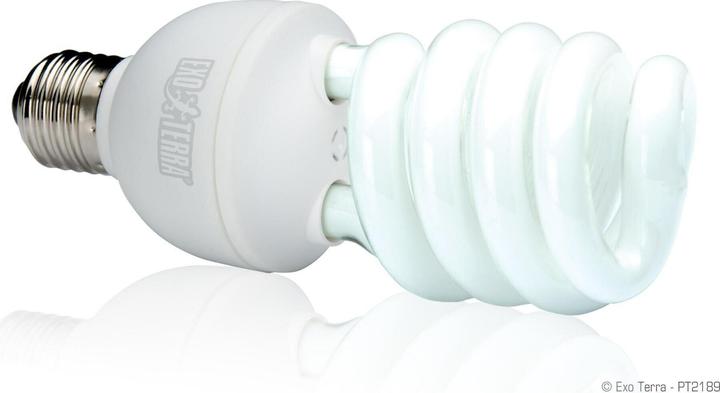 Image du produit Exo Terra Tube fluorescent compact Repti Glo 10.0 26W (UVB)