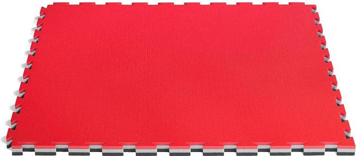 Immagine prodotto Pro Game Tappetino fitness Tatami Gym (3.50 cm)
