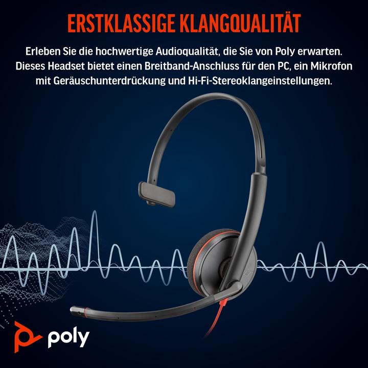 Actual product image Poly BW 3210 USB-C HS +USB-C/A (Cable, USB-C)