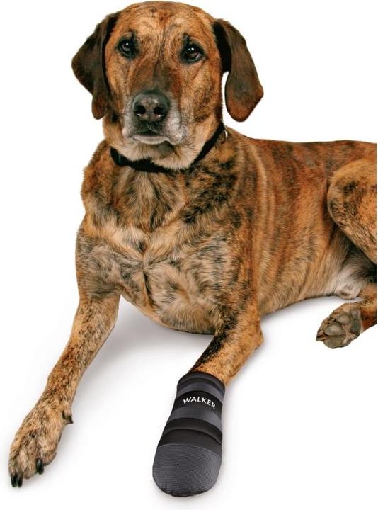 Image du produit Trixie Protection de la patte - Soins aux marcheurs (3XL, Chaussures pour chien)