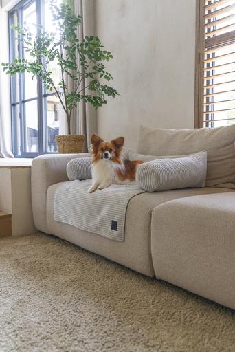 Actual product image Designed by Lotte Couch cushion Ribbed (Dog)