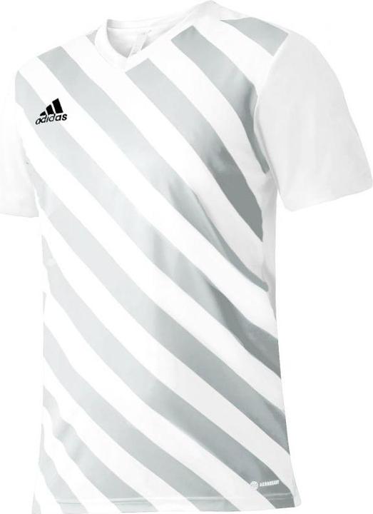 Actual product image adidas Entrada 22 Graphic Football Shirt Men (XXL)