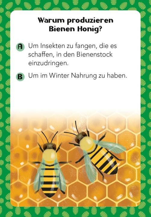 Produktbild National Geographic Tier-Quiz. 100 Fragen über Tiere für Quizfans und Tierfans (100 Fragen & Antworten) (Deutsch)