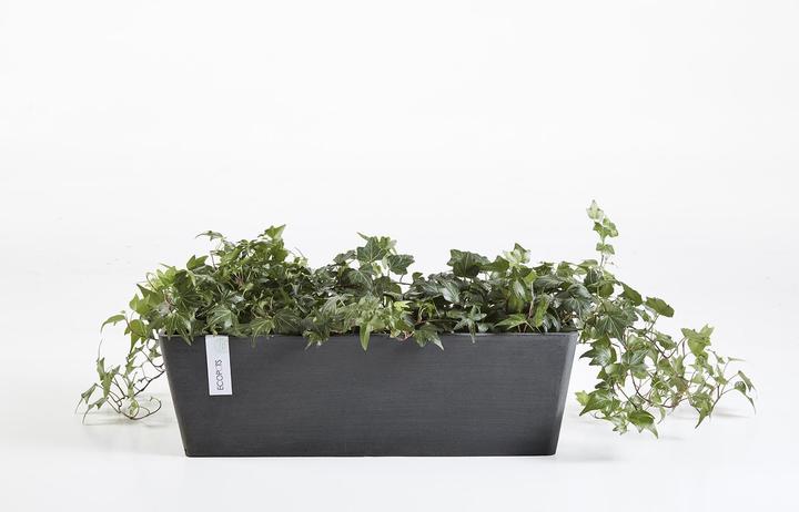 Image du produit Ecopots Bruges (65 cm)