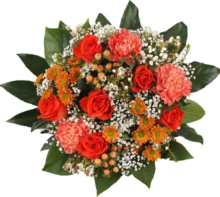 Floramall Ambiente (Schnittblumen)