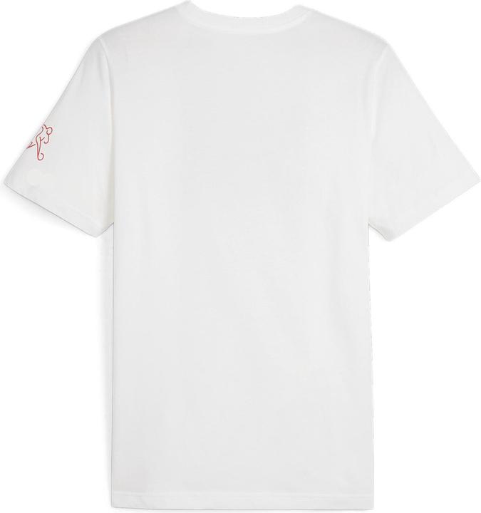 Produktbild Puma SFV Ftblicons Tee (3XL)