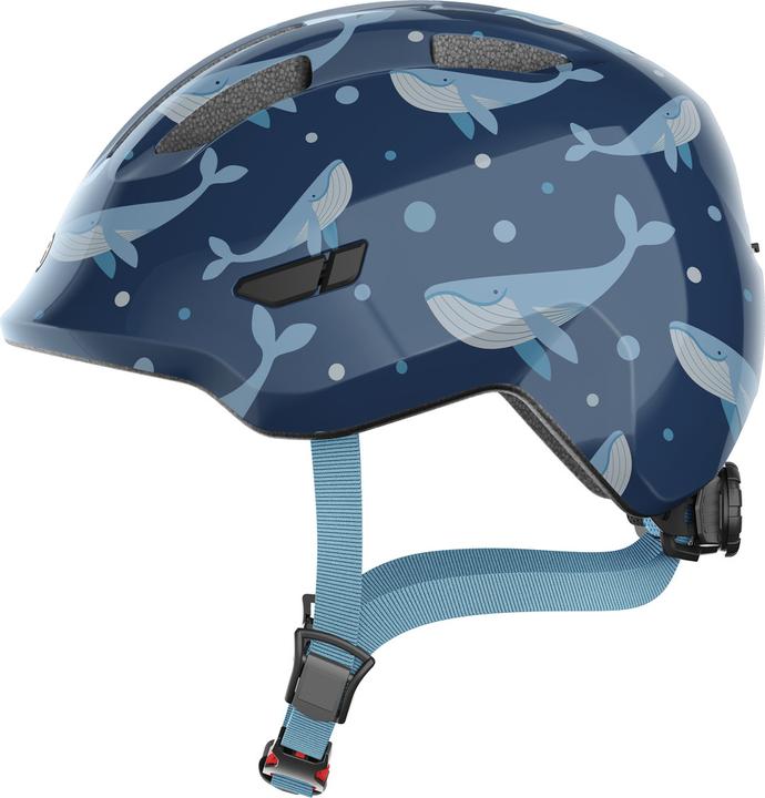 Baleine bleue