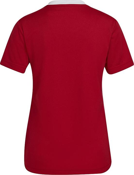 Actual product image adidas Entrada 22 Women's Football Shirt (M)