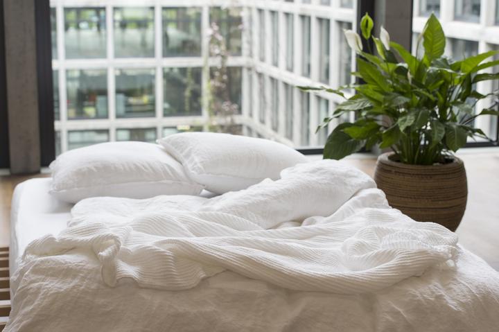 Actual product image lavie Linus (Pillowcase, 50 x 70 cm)