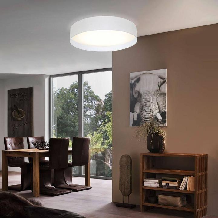 Image du produit EGLO Pasteri (950 lm)