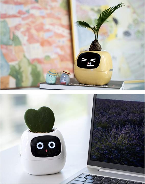 Actual product image Plantsio Ivy Smart Planter