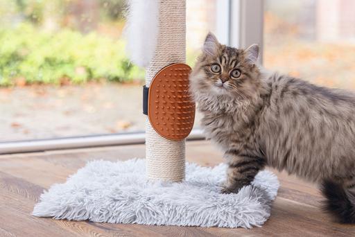 Image du produit Beeztees Pflegehandschuh (Chat)