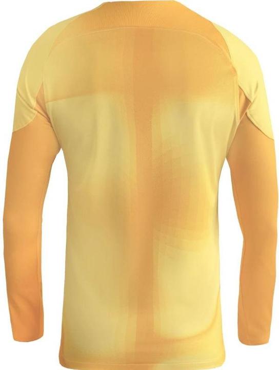 Produktbild Nike Mens Jersey M Nk Dfadv Gardien Iv Gk Jsyls, Tour Yellow/University Gold/Black, DH7967-719, L (L)