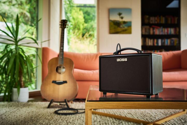Actual product image BOSS AC- amplificatore acustico 22LX (Guitar, Keyboards, 10 W)