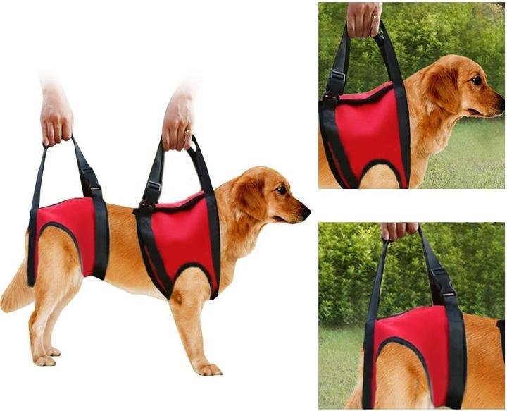 Image du produit Filfeel Hunde-Tragehilfe für Vorderbeine (M, Chien)