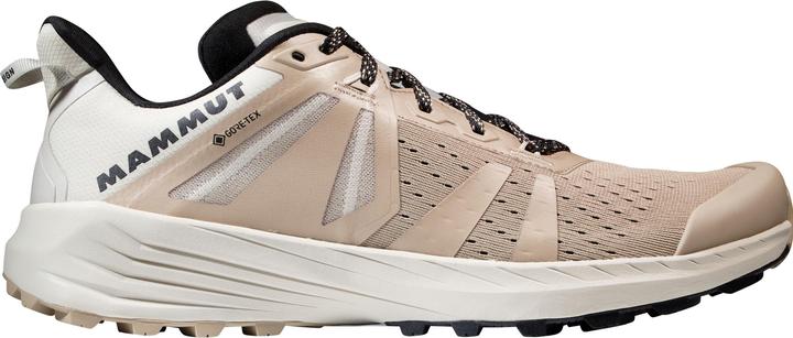 Immagine prodotto Mammut Saentis TR Low GTX Uomo (44.5, 45)